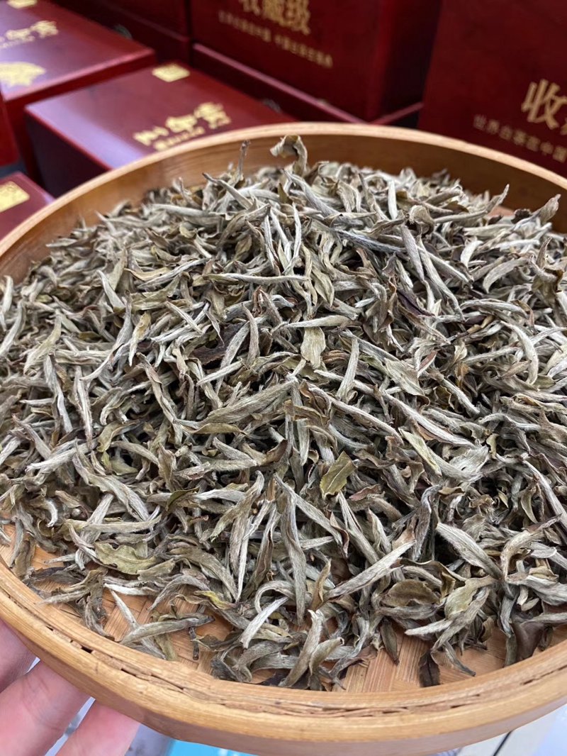 如何在收茶青时赚取差价？新手也能轻松入门