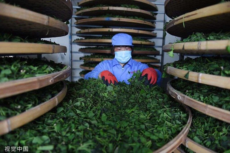 茶青收购发票开具需要上传资料吗？这不仅是财务上的问题，更是法律与规范的体现。
