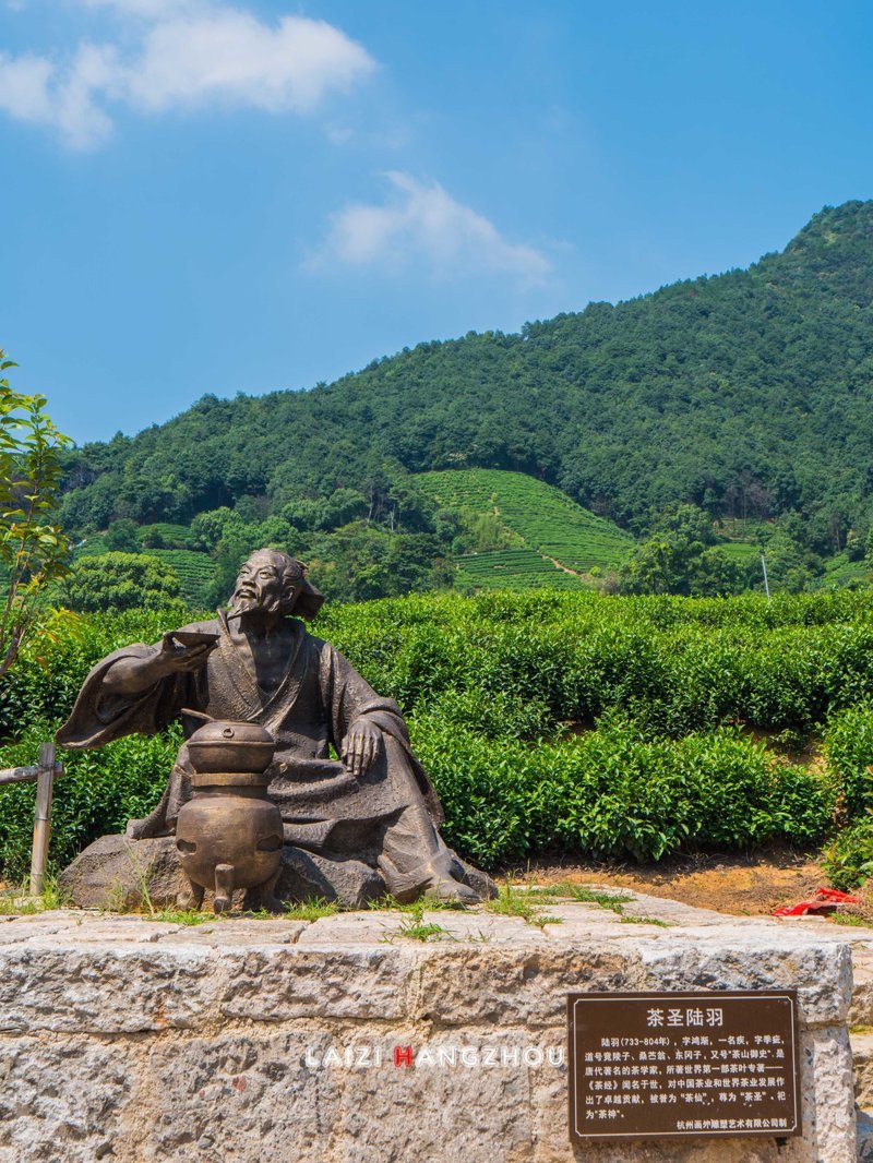 茶叶加工机械设备全套,你选对了吗?