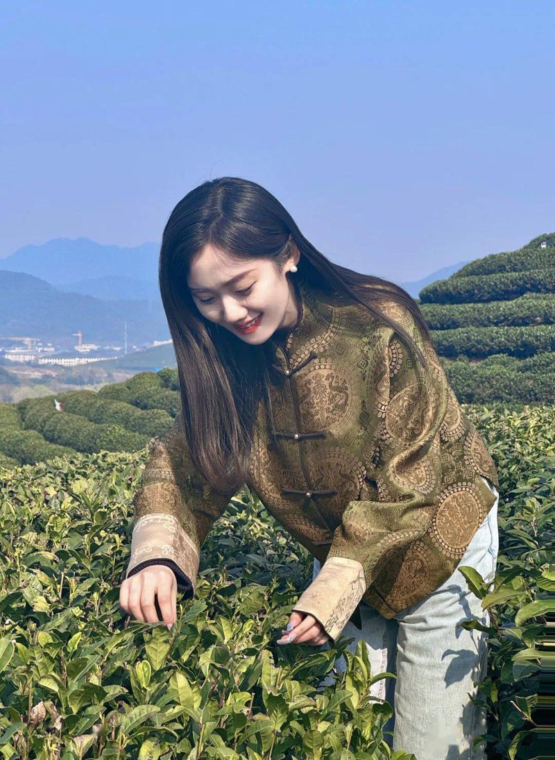 茶叶加工机械设备全面解析